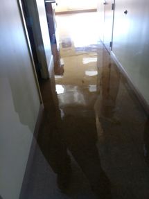 Commercial Floor Stripping & Waxing in Cleveland, OH (2)